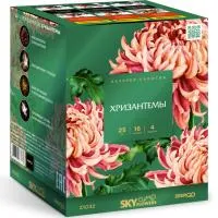 Фейерверк Хризантемы. Купить Фейерверк Хризантемы Z1032 — магазин продажа салютов недорого —  Москва, производитель Русский фейерверк - Русская пиротехника, доставка по России  +7 963 711 89 03  | piroclub.ru