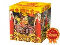 Фейерверк Красивая жизнь РС9640 купить от производителя Русская Пиротехника 