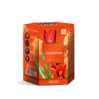 Фейерверк Тюльпаны 19. Купить Фейерверк Тюльпаны 19 Z1050 — магазин продажа салютов недорого —  Москва, производитель Русский фейерверк - Русская пиротехника, доставка по России  +7 963 711 89 03  | piroclub.ru